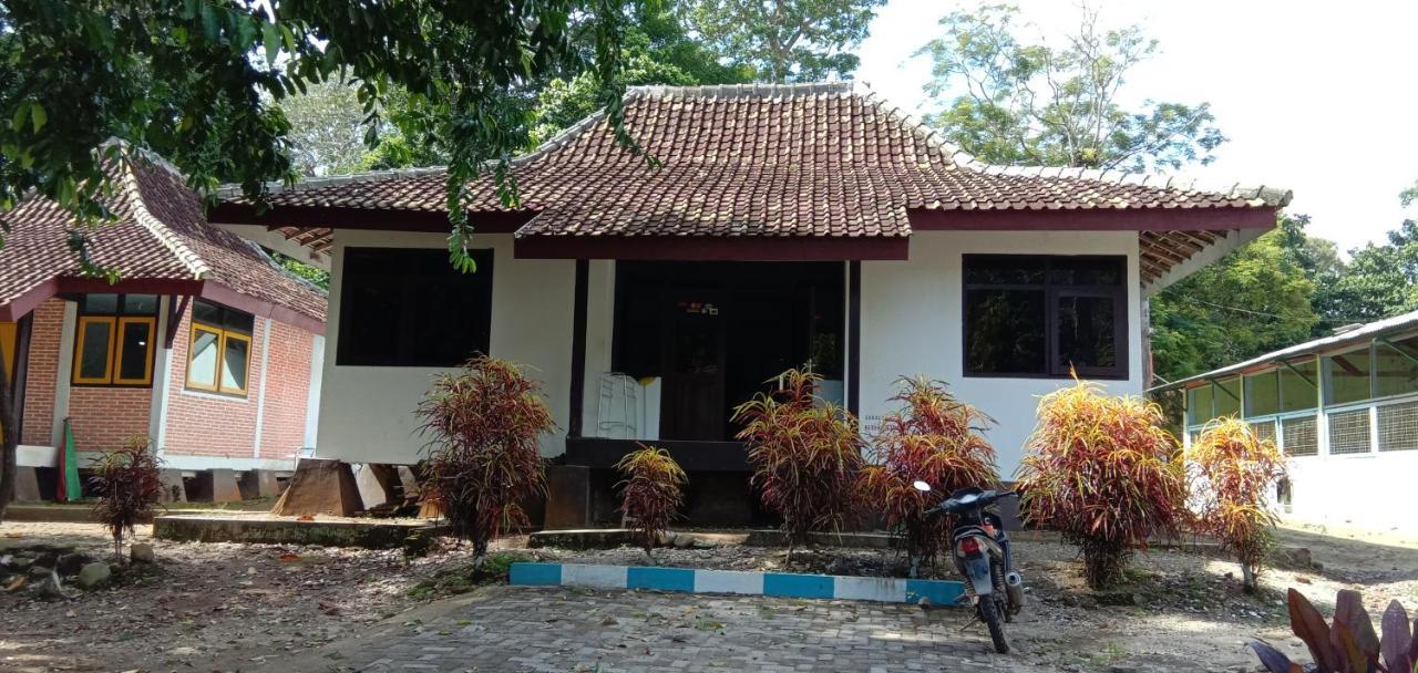 Sukamade Adventure Tour Package Acomodação com café da manhã Banyuwangi  Exterior foto